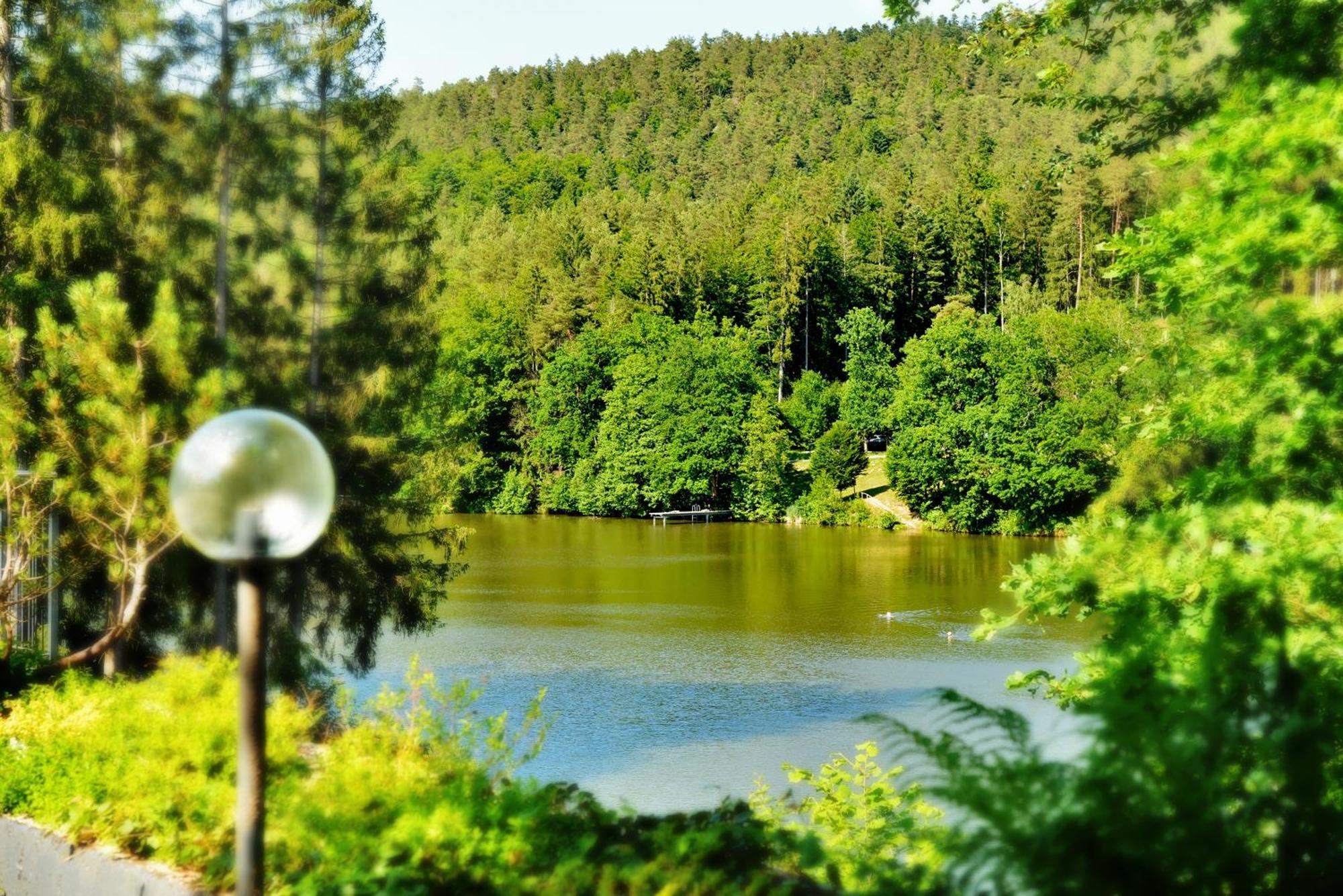 Das Dreiburgensee Naturhotel & Spa Thurmansbang Luaran gambar